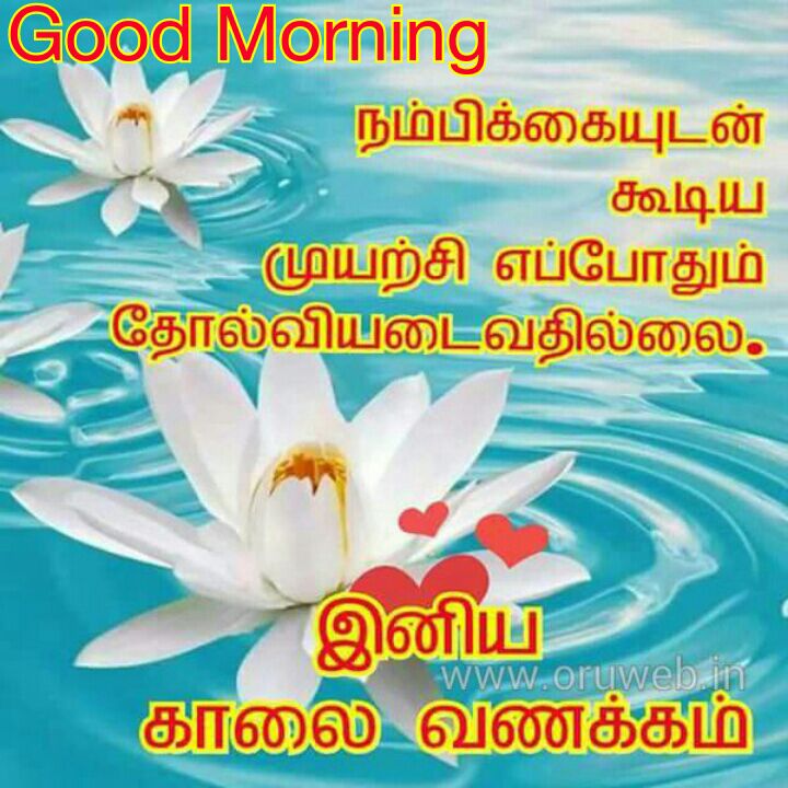 Kamala Devi On Twitter Notamitbhargav Kaalai Vanakkam Ceo Sir