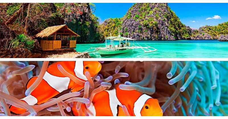 PADI's tweet photo. The Philippines' amazing beauty, both topside and underwater, is calling out to be explored
https://t.co/KQQhn5zoCz https://t.co/k3bxNbb1EB