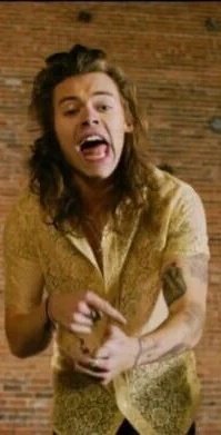 flordelaconcha's tweet photo. #HappyBirthdayHarryStyles https://t.co/7PFmnT7flV