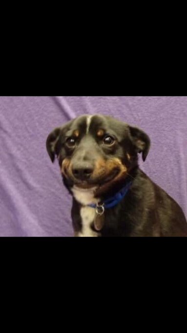 Watch Chris     OV       .'s leaked NSFW photo on TwXstars