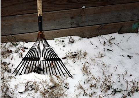 worcartificial1's tweet image. Top 8 #Winter #Gardening Tips- countryfile.com/countryside/to… #Garden #Landscape
