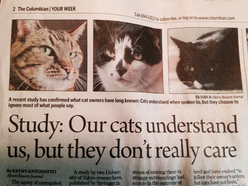 CatsLoveSpace's tweet photo. didn't really need a study to know this one. https://t.co/jVYuNzloC1