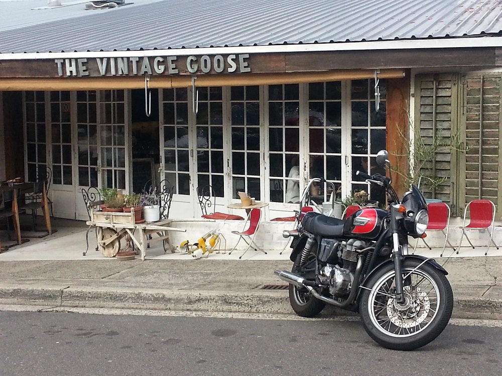 triumph1902's tweet photo. "@KennedCafe: The Vintage Goose is my #KennedCafe choice when visiting Kyle Bay. https://t.co/d7XykxYCyN"Cafe Triumph