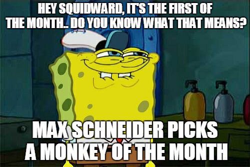Simplysmols's tweet photo. Hey @Maxgschneider guess what today is! That's right the 1st! #MonkeyOfTheMonth Please let it be me this month!ππ½β€οΈπ https://t.co/VcjwA0Q1Vg