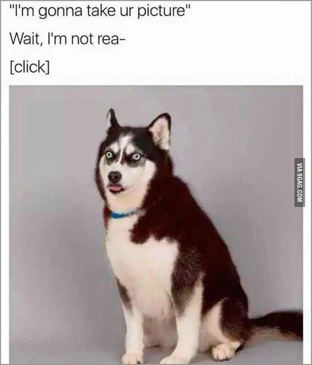 9GAG's tweet photo. Damn it moon moon
https://t.co/453P2kzScA https://t.co/SEYbe9AMDd