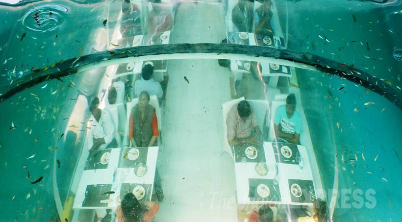 niharikam_21's tweet photo. #TheRealPoseidon India First Underwater Restaurant 20 feet underground..खाना पानी एक साथ ! Can't Wait To Go There !! https://t.co/AzMjICwcUV