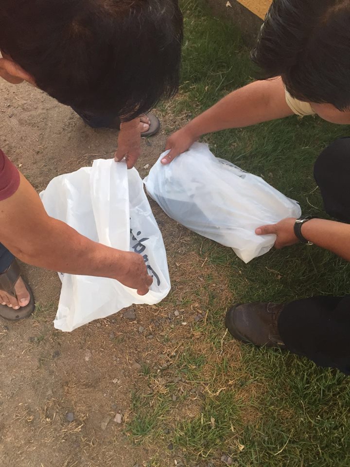 Adoptalos Chile tweet media