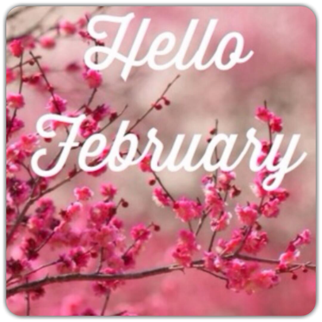 HERlashesandbty's tweet photo. The month of LOVE 💕 https://t.co/LKYBEFjFi3