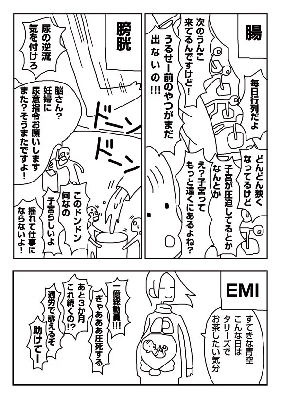 【漫画】妊娠後期の内臓は変形してるんだって…女性の身体すげぇ