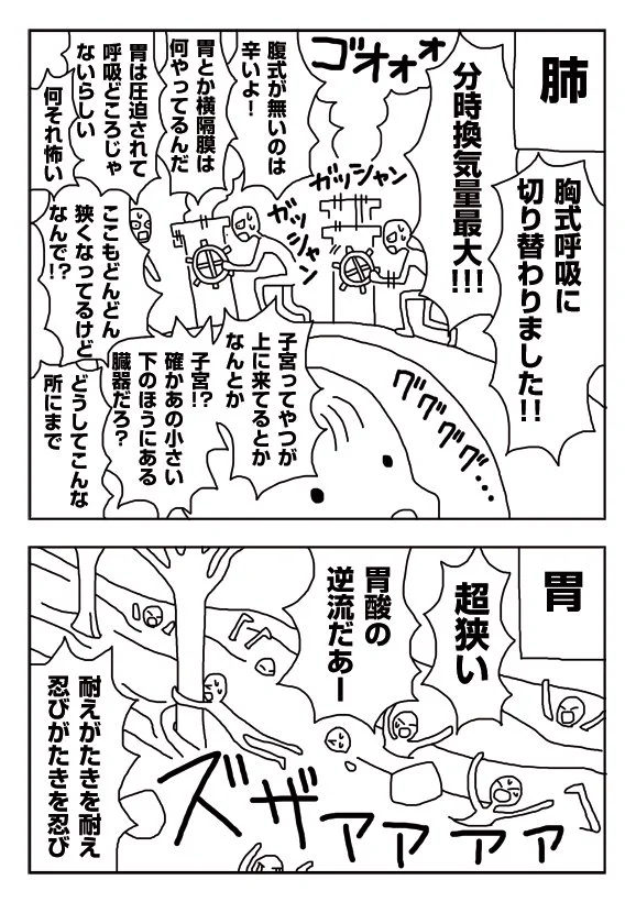 【漫画】妊娠後期の内臓は変形してるんだって…女性の身体すげぇ