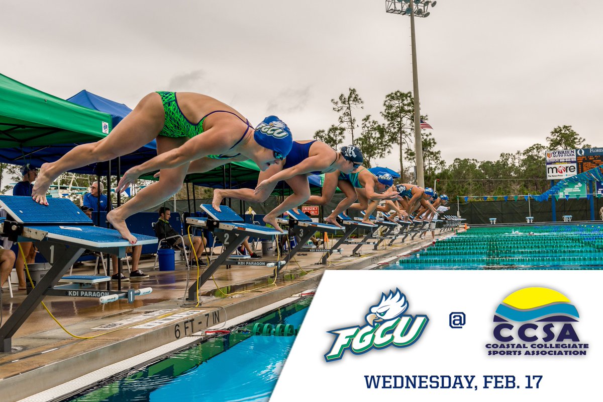 fgcu_wswimdive's tweet photo. T-minus 16 days until the Eagles look to defend their @CCSA_Swim_Dive crown &amp; claim 7th title in 8 years! #WingsUp https://t.co/8J0FIhgoa9