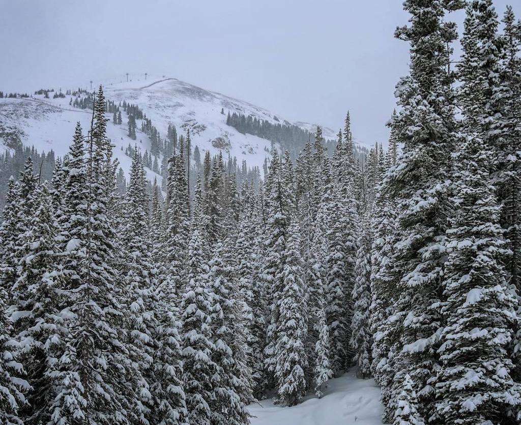 14" in 48 hours. It's another #SnowDay. 📷: <a href="/trippfayphoto/">Tripp Fay Photo</a>