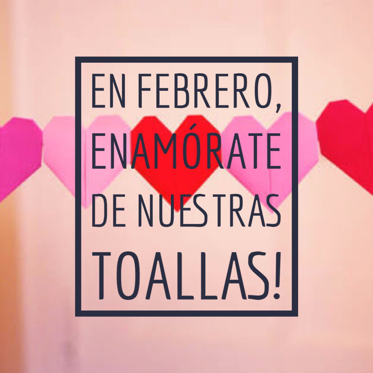 Textilera San Jaime tweet media