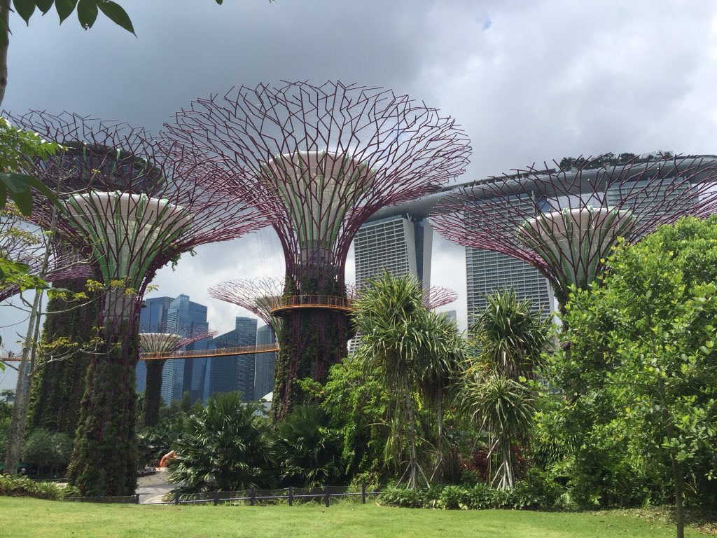 Singapore, indrukwekkende stad. Gardens at the Bay. Een park waar botanische tuinen, techniek en kunst samen komen.