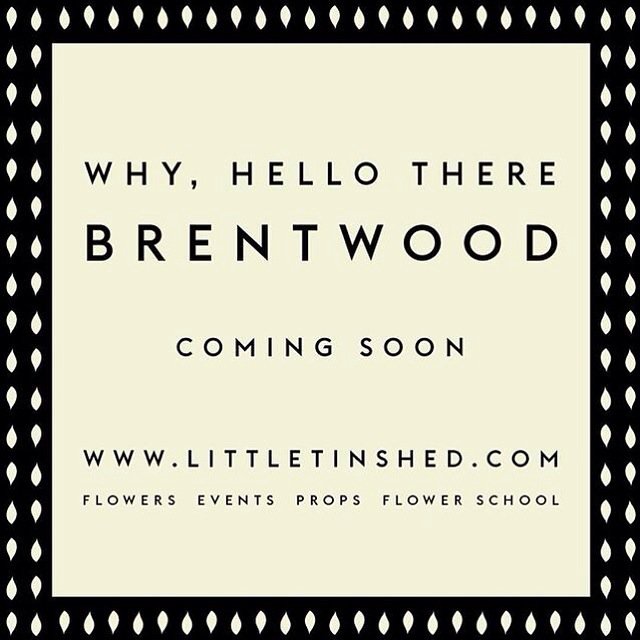 Why hello there #Brentwood #LittleTinShed landing soon! #Essex #EssexBusiness