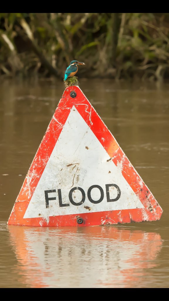 Some azure irony from <a href="/AlanMcFadyen2/">Scottish Photography</a>