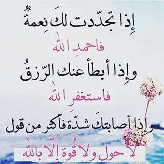 amerameer433's tweet photo. https://t.co/aGpnejjuev