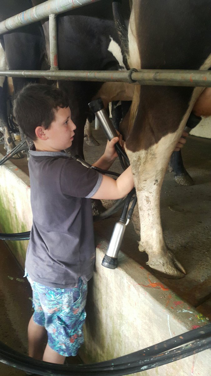 GJLBrazil's tweet photo. Swapping chooks for milk.... https://t.co/IPBUTJ9hNB