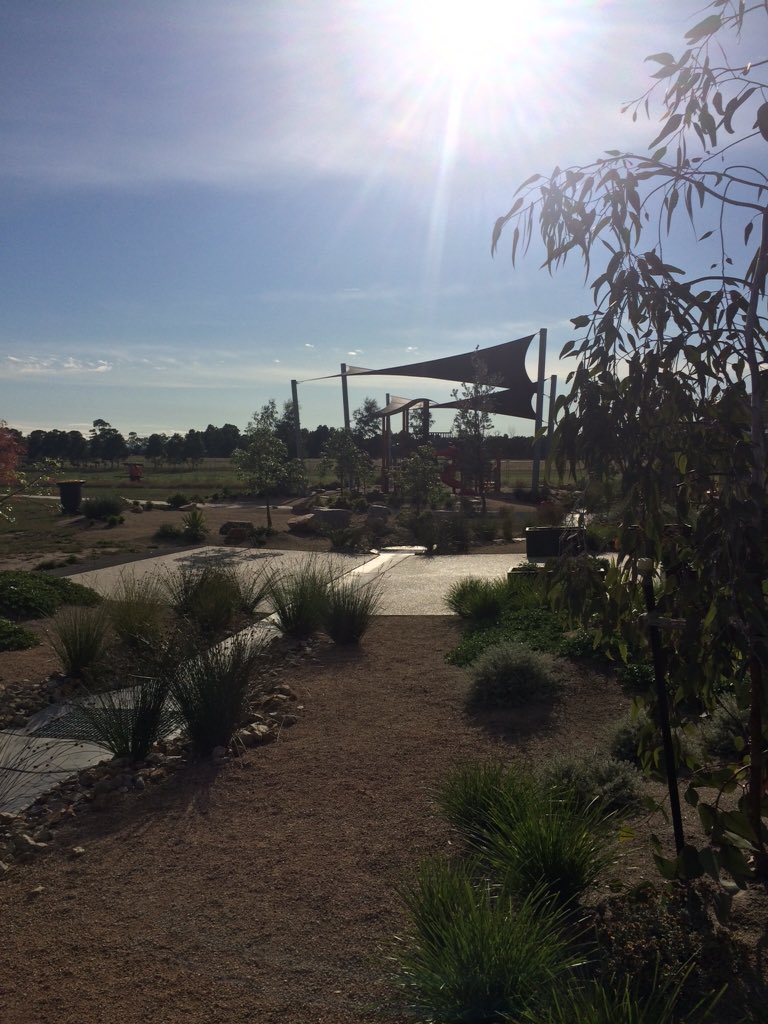 overleafinfo's tweet photo. Great to see how our #landscape at #rivercrestcollege has developed 10 months on. https://t.co/7YxSD6W0Im