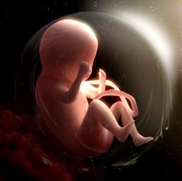 Gran Bretagna, via libera agli scienziati per modificare il Dna dell’embrione umano Gran Bretagna, via libera agli scienziati per modificare il Dna dell’embrione umano