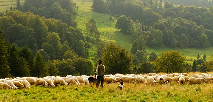 UopenAccess's tweet image. Wouldn&apos;t it be great if common resources could be enjoyed collectively? #openaccess journal @IJCCommons analyses how