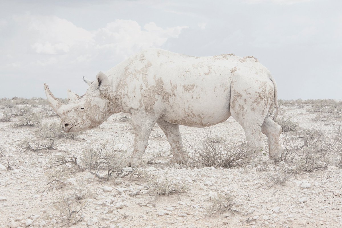 Maroesjka Lavigne reisde naar Namibië voor haar nieuwste project. Bekijk haar foto's hier: ow.ly/XGfEX