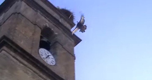 larazon_es's tweet photo. El juzgado autoriza a Cazalilla a lanzar a la pava desde su campanario https://t.co/4kylmQgMWH
#Jaén https://t.co/cQJq5Xk4eV