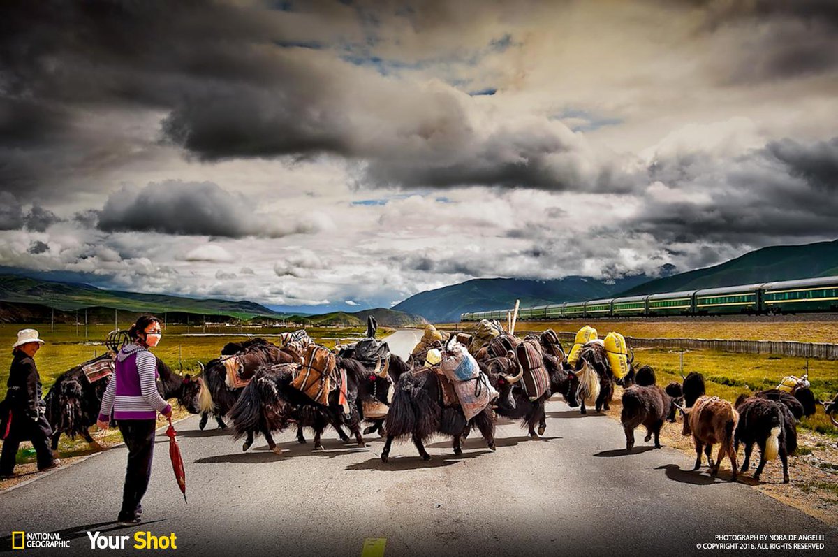 Show us what walking means to you by uploading a photo to #YourShot: on.natgeo.com/1QT4mEW #EdenWalk