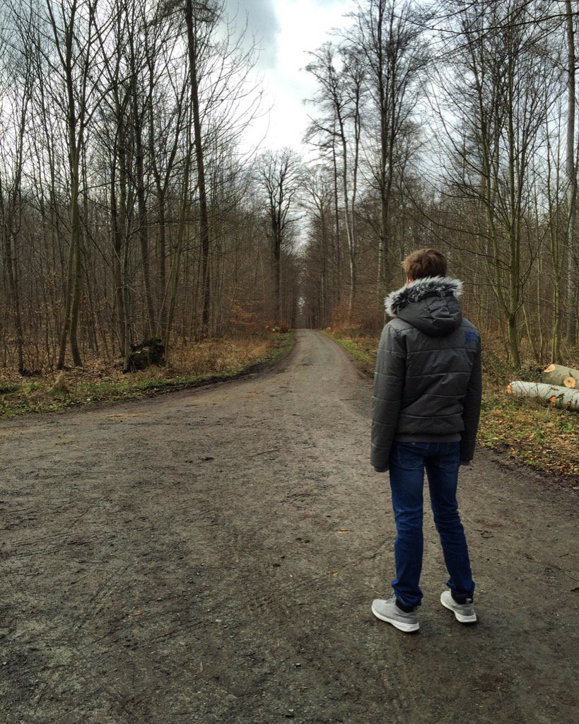 LauritzPreusse's tweet image. Lockerer Spaziergang durch den Wald! Das tut gut! // Going for a walk through the forest! Feels good!#personalway