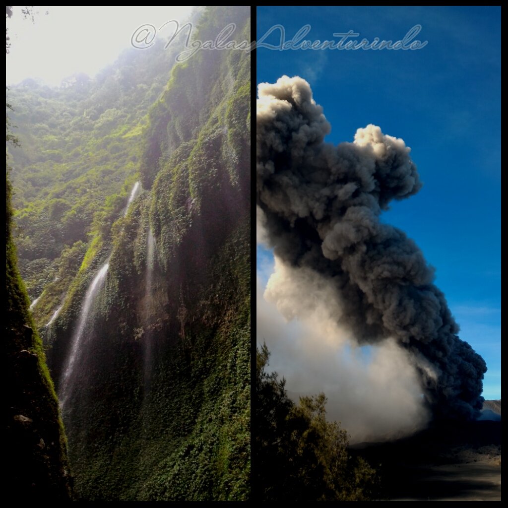 NgalasTrips's tweet photo. Paket wisata Bromo, Limited moment - Air terjun Madakaripura, start iDR 275k/pax.. Call us :) https://t.co/WvqSEwLiqz