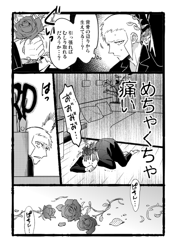 ノボクダ01 