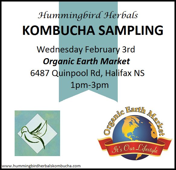 HHKombuchaTea's tweet photo. HH Kombucha Sampling! Wed. Feb. 3rd @OrgEarthMarket on Quinpool Rd 1-3pm! #kombucha #buylocal #organic #sampling https://t.co/nCp7jVebs3