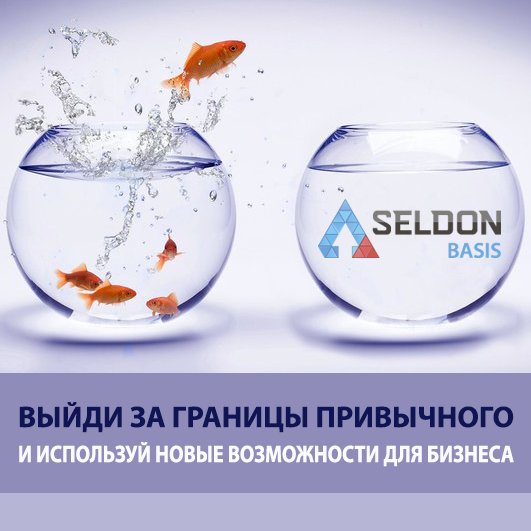 Селдон базис проверка