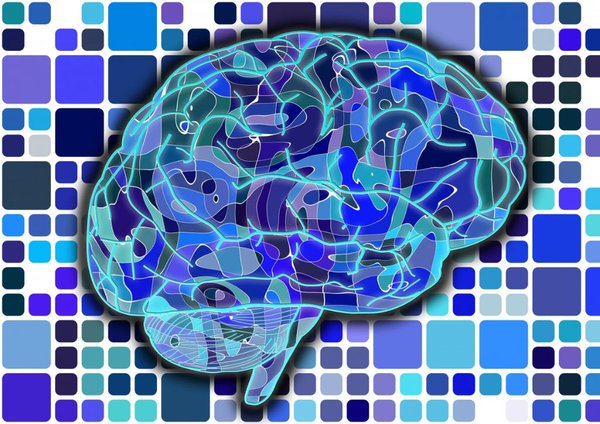 thisisdovetail's tweet photo. Neuroscientists say human brain can store 10x more information than we thought https://t.co/oLmOtwg67o @ForbesTech https://t.co/77bNLTqNDB