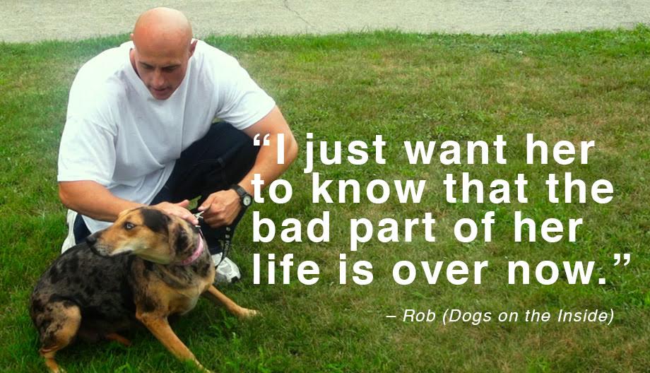 Dogs on the Inside tweet media