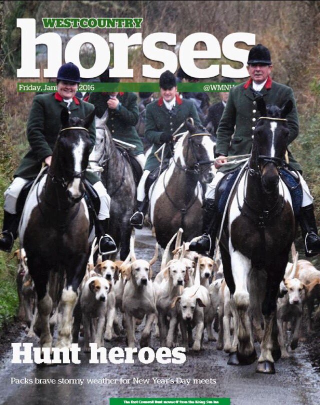 Westcountry Horses - 8 pages of equestrian news every Friday covering #Cornwall #Devon &amp; West #Somerset #HorseHour