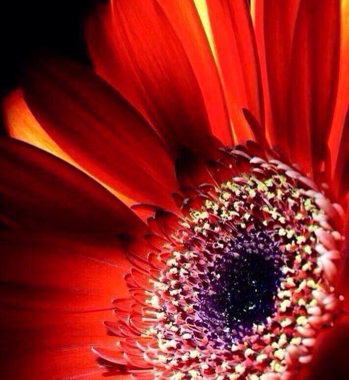 You must find the place
inside yourself where
nothing is impossible...