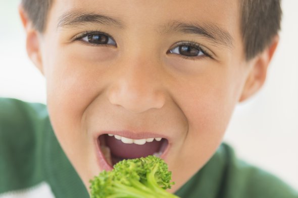 SmartEarly's tweet image. New post: Healthy (and Easy) Lunch Ideas for Toddlers - smartearly.com/?p=3447