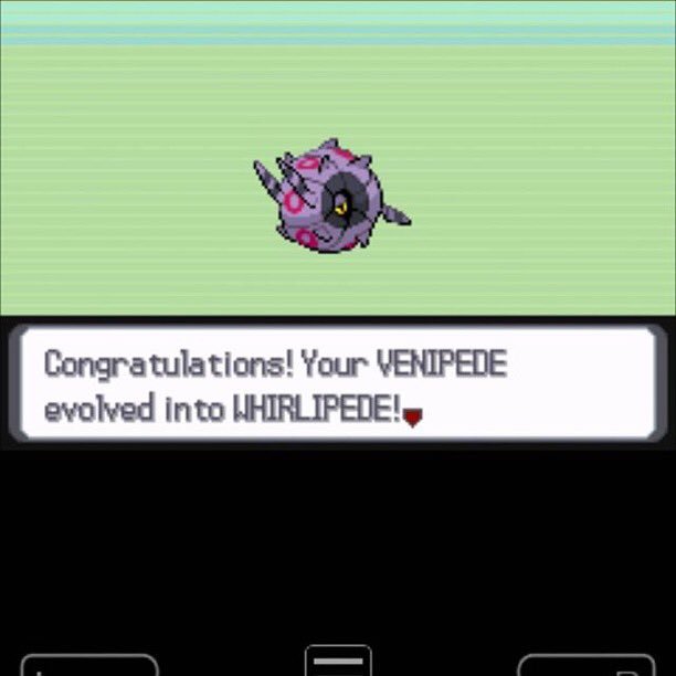 Playing Pokémon Light Silver. Just evolved my Venipede. c: