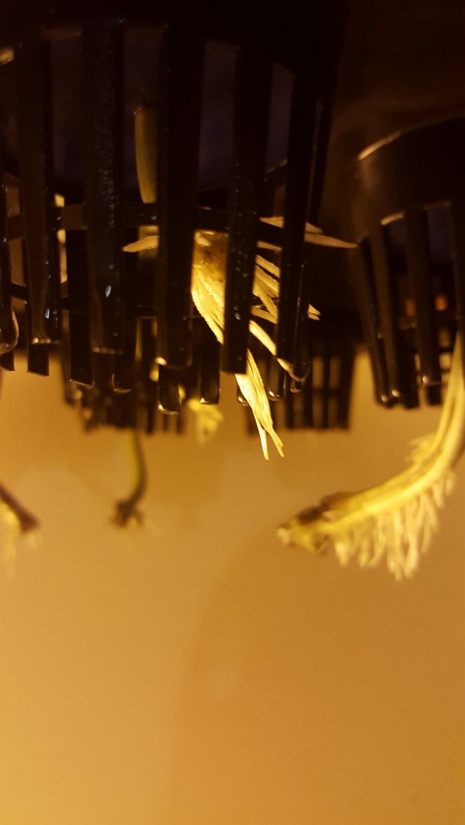 BioDomeX's tweet photo. Contest is live! Contest rules and information can be seen here:
https://t.co/pSGDOuKkyf #gardening #aeroponics https://t.co/Ye9Yx517T2
