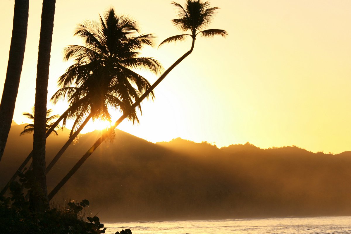 SellOffVacays's tweet photo. #Truth: We’d rather be watching the sunrise on the #beach then going to the office. https://t.co/H8Q4dvEMI3