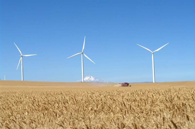 EARTHTECHLING tweet media