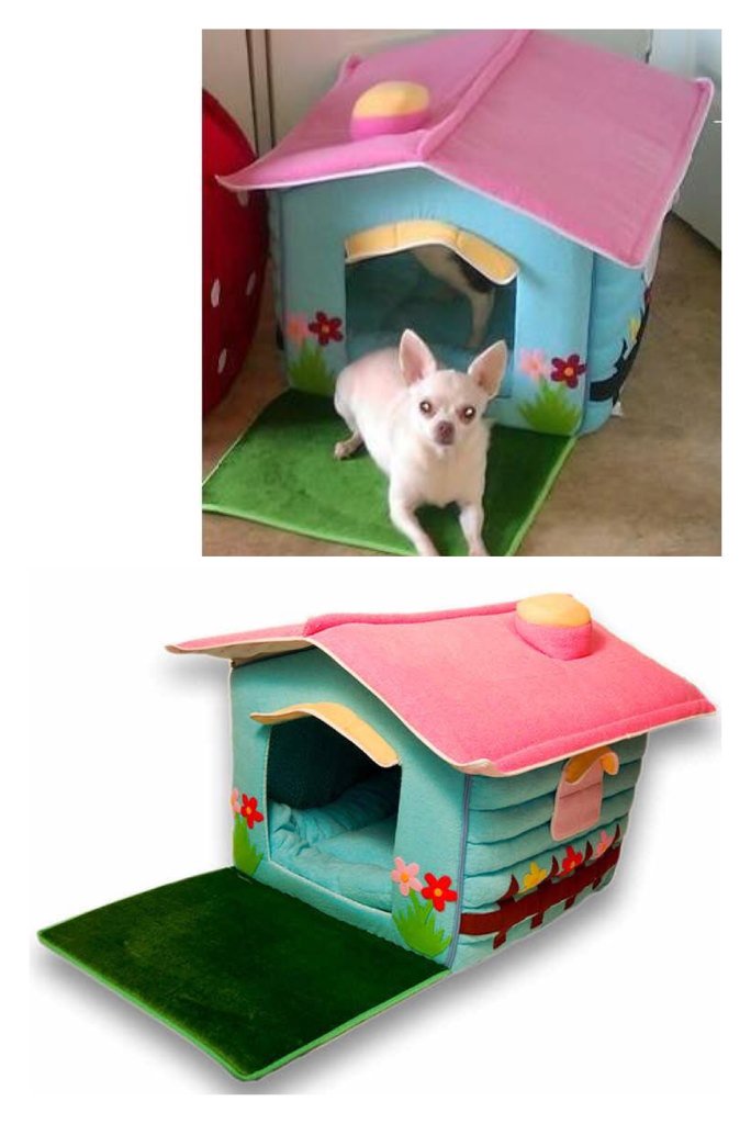 PuddyPooch's tweet photo. Lots of cool stuff for cats & dogs #advertweet #RT https://t.co/zGuuiFUTzP #cats #dogs #pets https://t.co/uj20YXWlOp
