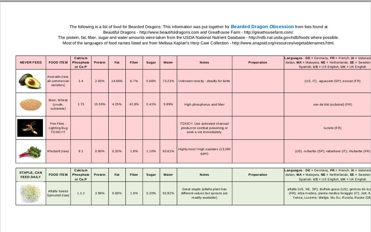 Bearded Dragon Food Chart