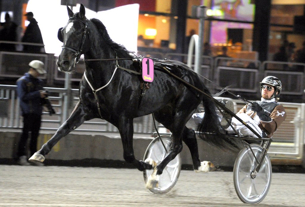 stallzet's tweet photo. Ett nytt kapitel i Shaq is back's liv. Imorgon startar resan till Frankrike och han kommer ev att testa på monté https://t.co/QtIGei8eSb