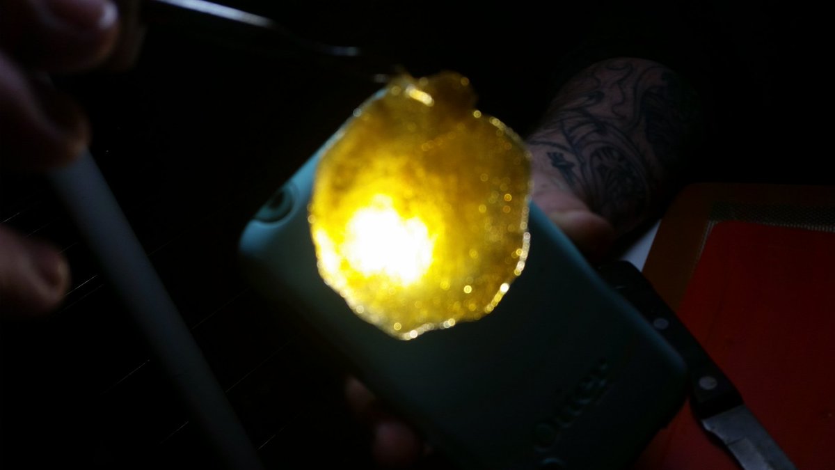 The_SHO_Room's tweet photo. Mangolicious #fire #sho #rosin #dabs. hybrid of Oregon big bud and White Widow https://t.co/NOPc3NAFTb
