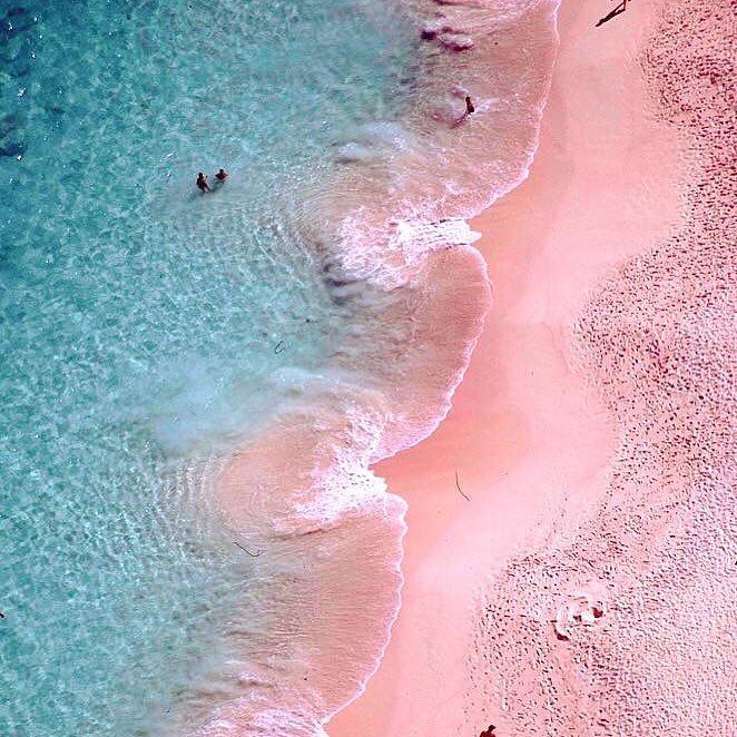 Clear water, pink sand, and delicious rum sums up the island of Bermuda! #goslingsrum #ber… ift.tt/1nzSR9q