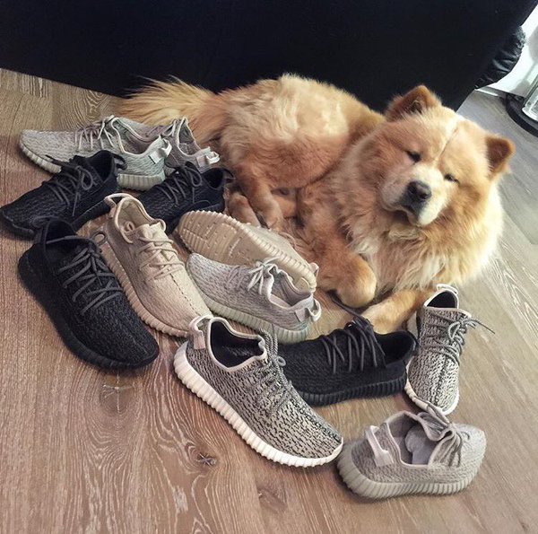 #YZYSZN (@yeezyseazon) on Twitter photo 