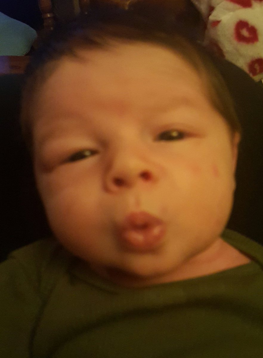 BerriSweeT's tweet photo. @ZoolanderMovie and @RedHourBen 
Only a few weeks old and already being fabulous#bluesteel#reallyreallygoodlooking https://t.co/CFJIO9J1CH