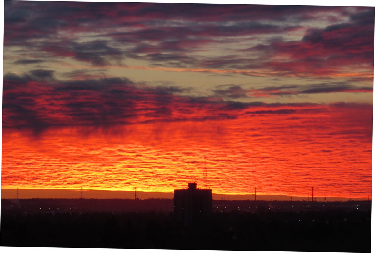 enviromichele's tweet photo. Another show stopper this #morning #MotherNature ! #thankyou spectacular #sunrise #everythingyeg @everythingyeg #yeg https://t.co/KLg9YhyBog